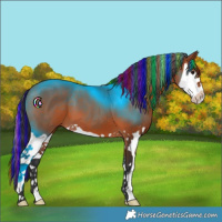Horse Color:Painted Bay Splash 