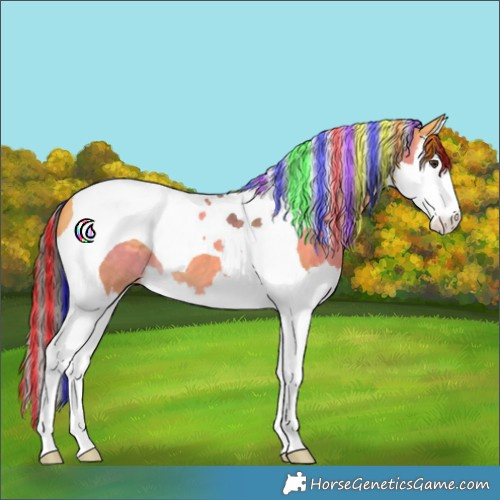 Horse Color:Painted Buckskin Dun Splash Tobiano 
