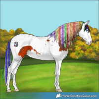 Horse Color:Painted Bay Splash Tobiano