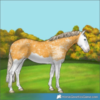Horse Color:Palomino Ice Splash