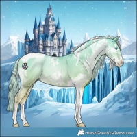 Horse Color:Palomino Ice Pearl Tobiano 