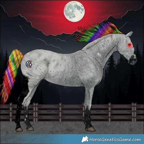 Horse Color:ERROR: UNKNOWN ANOMALY