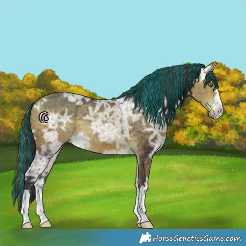 Horse Color:Painted Buckskin Ice