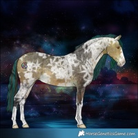 Horse Color:Painted Buckskin Ice 