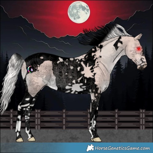 Horse Color:Void Watercolor Cremello Tobiano