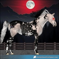 Horse Color:Void Watercolor Cremello Tobiano 