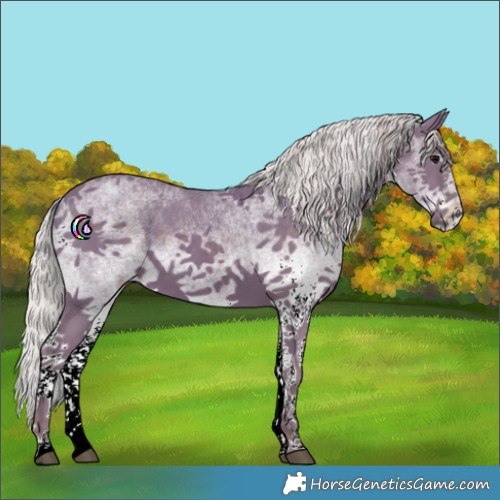 Horse Color:Watercolor White Spotted Silver Black