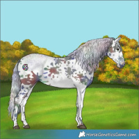 Horse Color:Nacre White Spotted Silver Black 