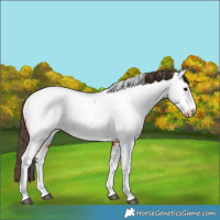 Horse Color:Bay Tobiano Near Fewspot
