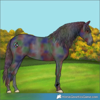 Horse Color:Nacre Black 