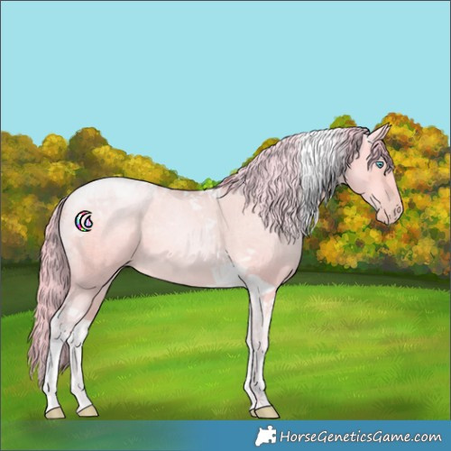 Horse Color:Watercolor Buckskin Pearl Dun Tobiano