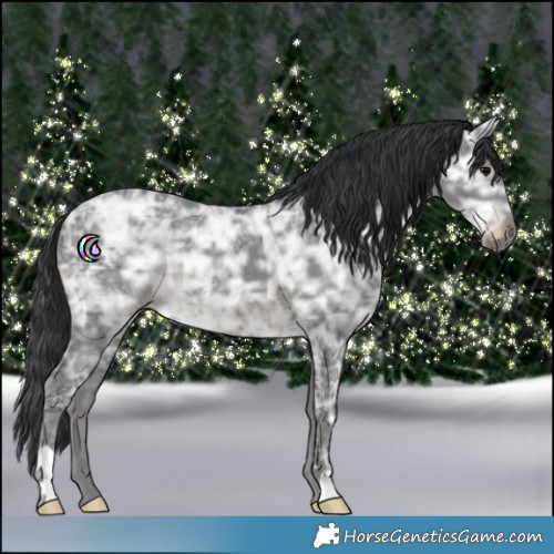 Horse Color:Black Ice Rabicano