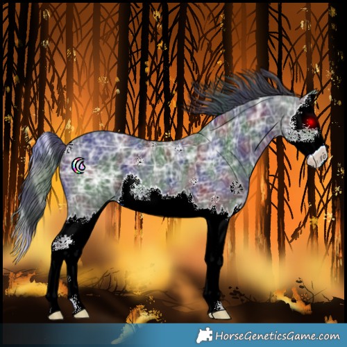 Horse Color:Nacre Black Ice Splash 