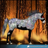 Horse Color:Nacre Black Ice Splash 