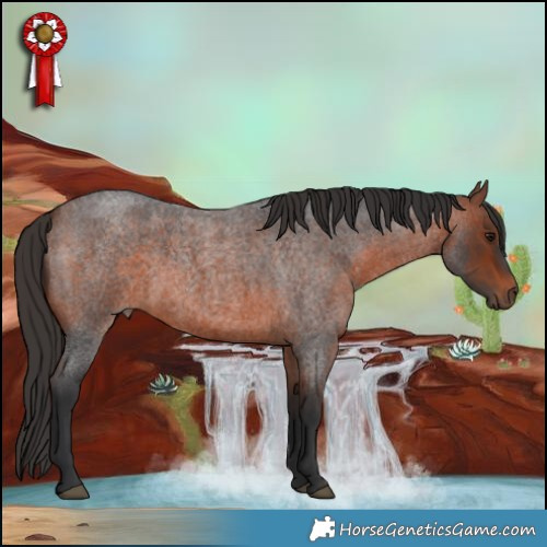 Horse Color:Bay Roan 