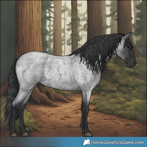 Horse Color:Blue Roan 