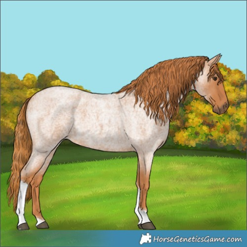 Horse Color:Red Roan Tobiano 