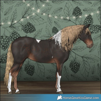 Horse Color:Liver Chestnut Tobiano 