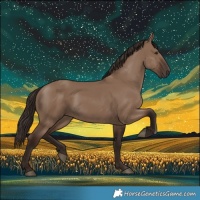 Horse Color:Liver Red Dun 