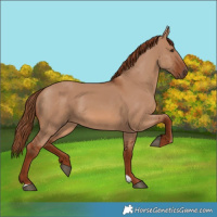 Horse Color:Red Dun 