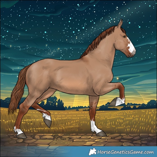 Horse Color:Red Dun 