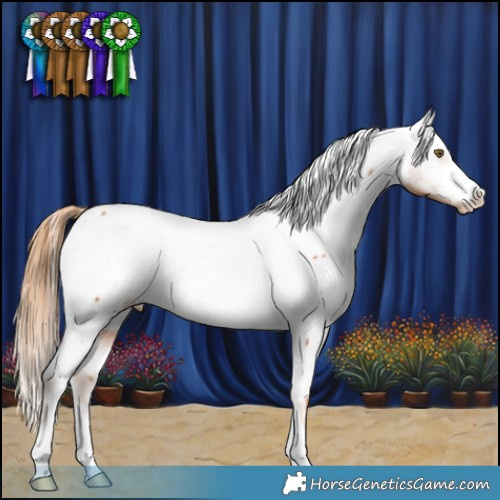 Horse Color:Chestnut Near Fewspot 