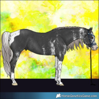 Horse Color:Platinum White Spotted Liver Chestnut Splash Tobiano Rabicano