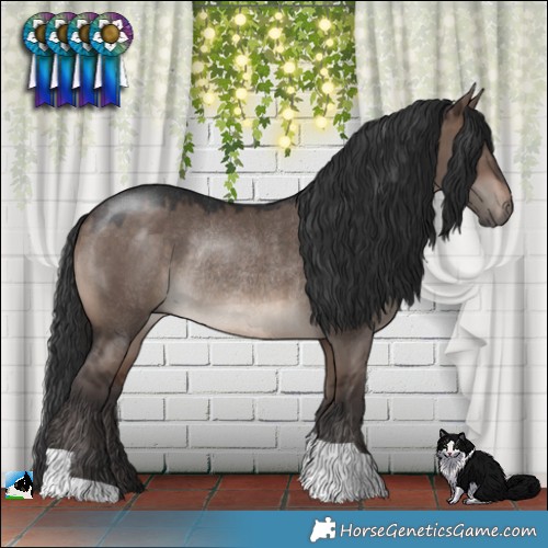Horse Color:Brown Dun Mushroom Rabicano 