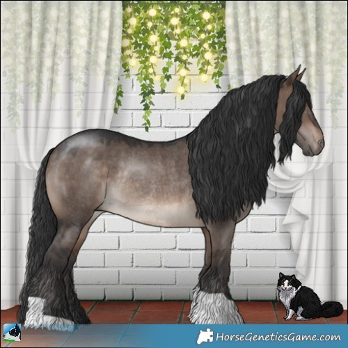 Horse Color:Brown Dun Mushroom Rabicano 