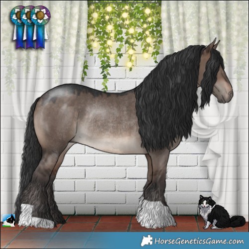 Horse Color:Brown Dun Mushroom Rabicano 