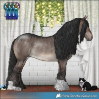 Horse Color:Brown Dun Mushroom Rabicano 