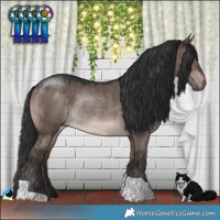Horse Color:Brown Dun Mushroom Rabicano 