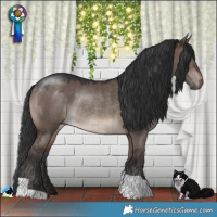 Horse Color:Brown Dun Mushroom Rabicano 