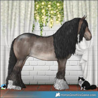 Horse Color:Brown Dun Mushroom Rabicano 
