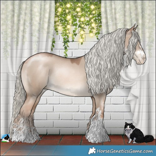 Horse Color:Liver Red Dun Pearl Mushroom Sabino Rabicano 