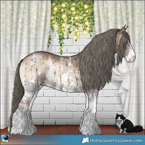 Horse Color:Liver Red Dun Onyx Mushroom Sabino Rabicano Brindle
