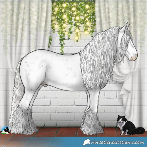 Horse Color:Liver Chestnut Mushroom Sabino Rabicano 