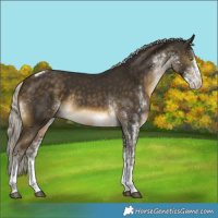 Horse Color:White Spotted Silver Buckskin Tobiano Rabicano 