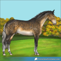 Horse Color:White Spotted Silver Buckskin Tobiano Rabicano