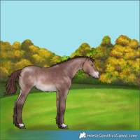 Horse Color:Platinum Chocolate Bay 