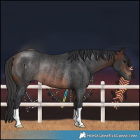 Horse Color:Brown Rabicano
