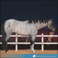 Horse Color:Brown Roan Rabicano 
