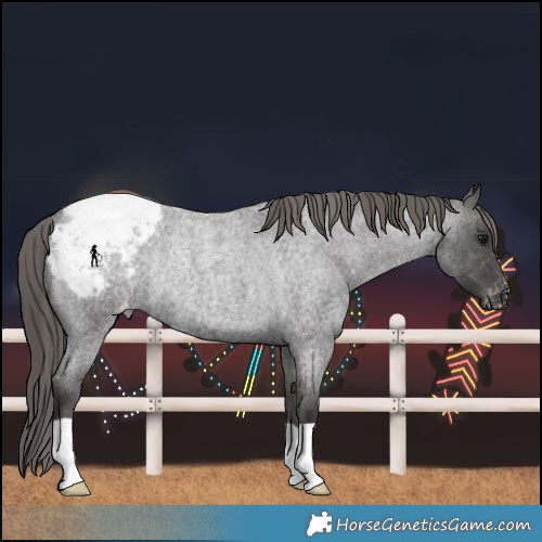 Horse Color:Smoky Blue Roan Snowcap Rabicano 