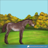 Horse Color:Platinum Chocolate Brown 