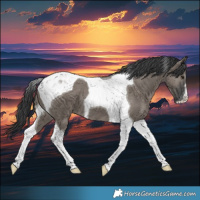 Horse Color:Grullo Tobiano