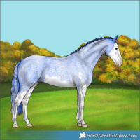 Horse Color:Watercolor Blue Roan Sabino Splash 