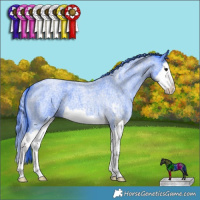 Horse Color:Watercolor Blue Roan Sabino Splash 