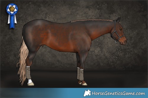 Horse Color:Liver Chestnut 
