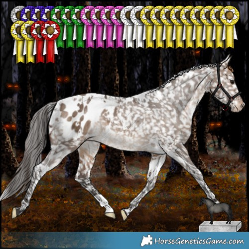 Horse Color:White Spotted Bay Dun Appaloosa Rabicano 