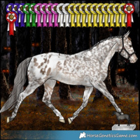 Horse Color:White Spotted Bay Dun Appaloosa Rabicano 